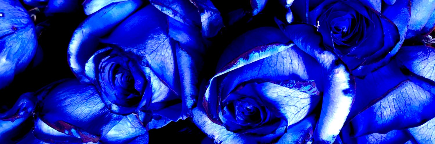 SheAllNow　💝係長アリサ banner