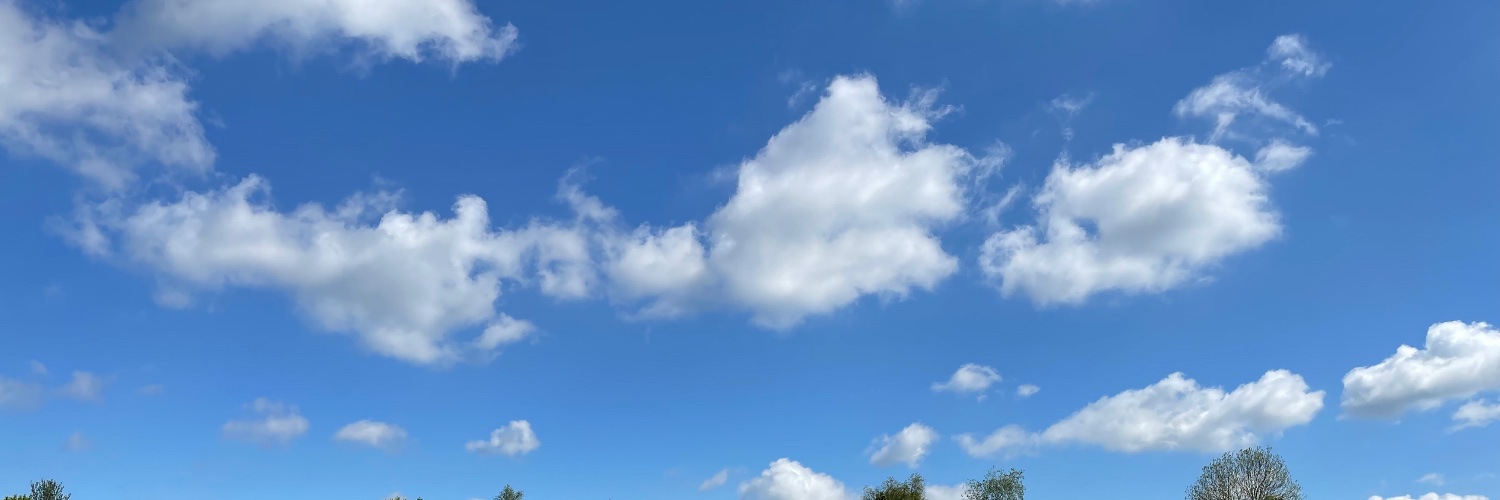 Zieseniss's profile banner image