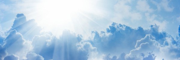 stallzet Profile Banner