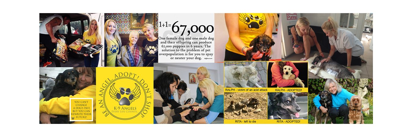 The K-9 Angels banner