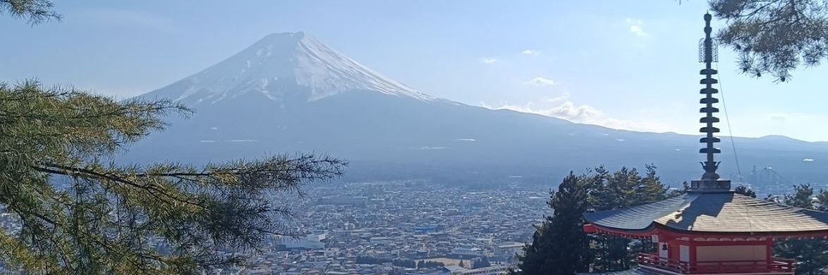 Carlos Sales 🔬 banner