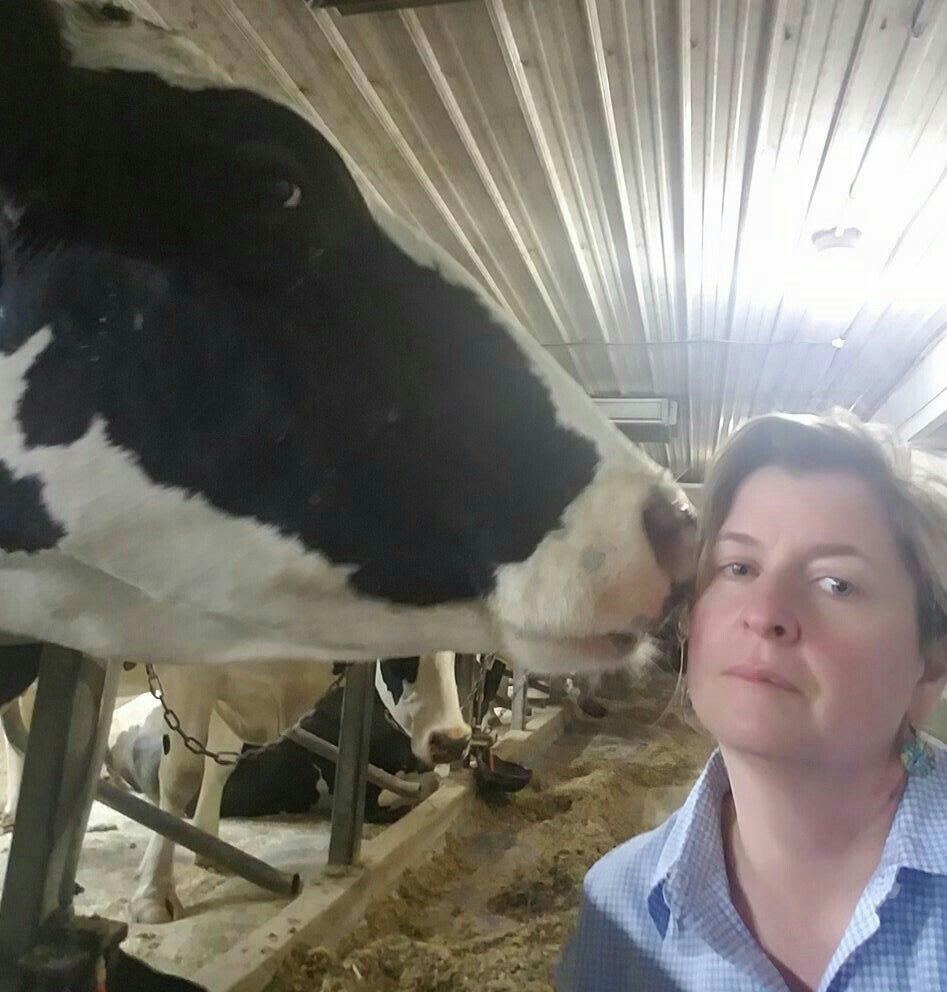 bbdairy's profile banner image