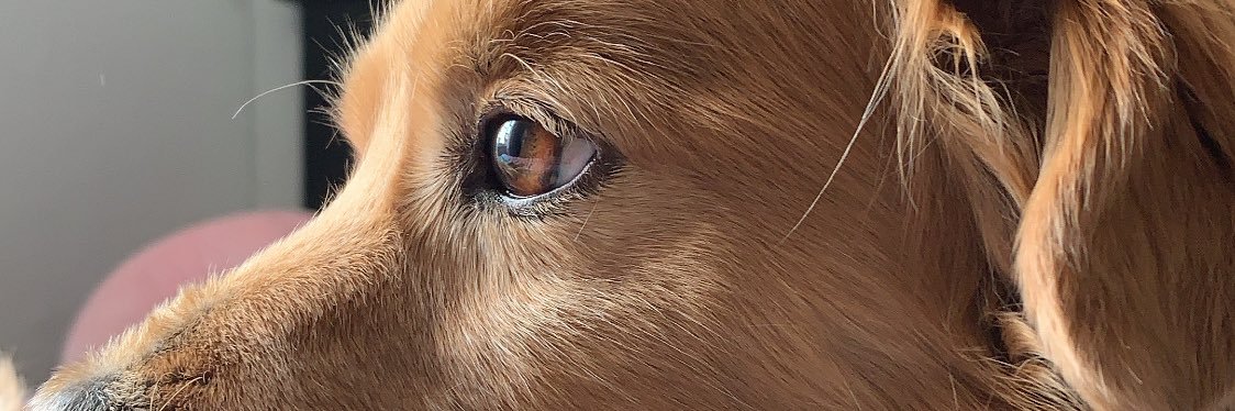 loreochoaa's profile banner image