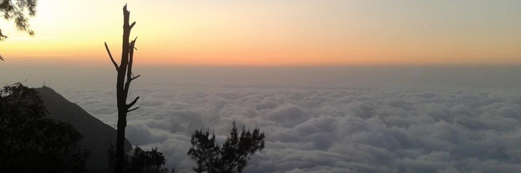 Tey_andreina's profile banner image