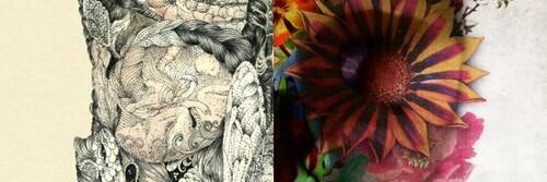 anacampo's profile banner image