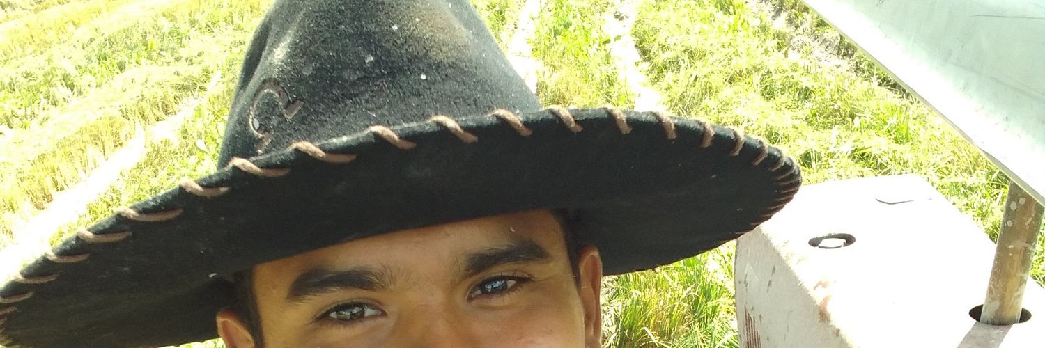 1998_villar's profile banner image