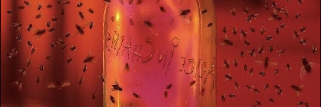 ᴀʀᴀ ɴᴏ ᴅᴜᴇʀᴍᴇ banner