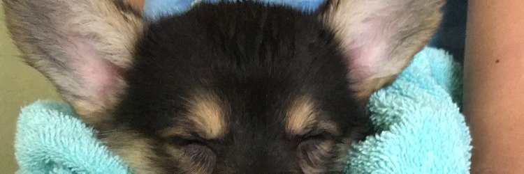 stephentoliquid's profile banner image