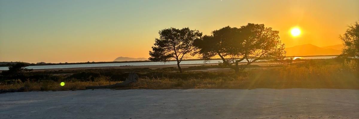 Nicovenus's profile banner image