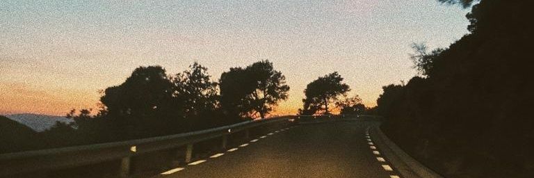 lidia_ding's profile banner image