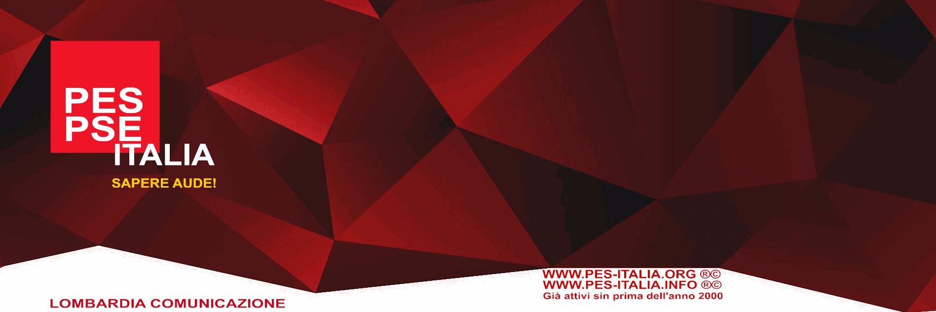 PSE_PES's profile banner image