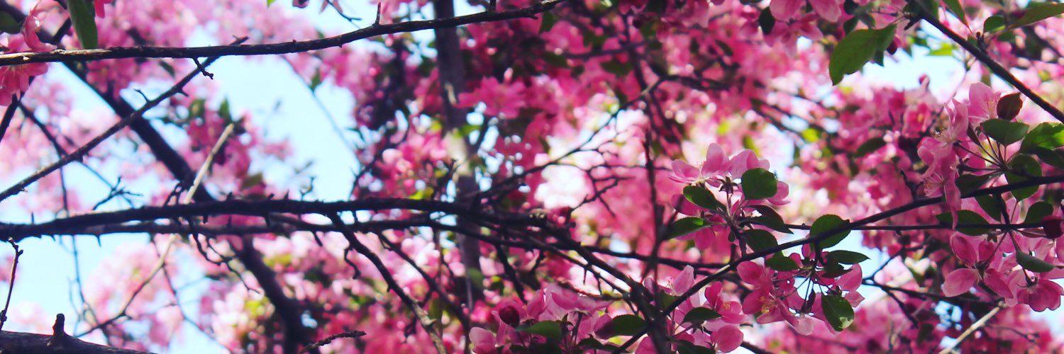 KSki20's profile banner image