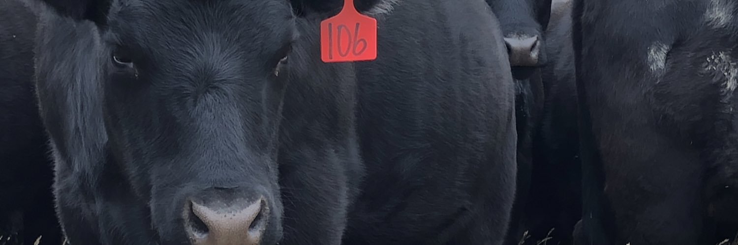 McDonell Farms Ltd banner