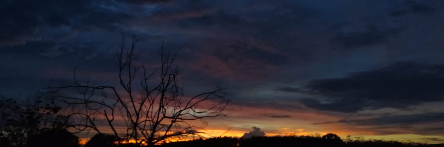 mechismr's profile banner image