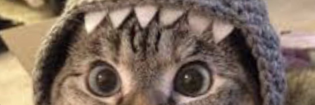 Corinne Herbst banner