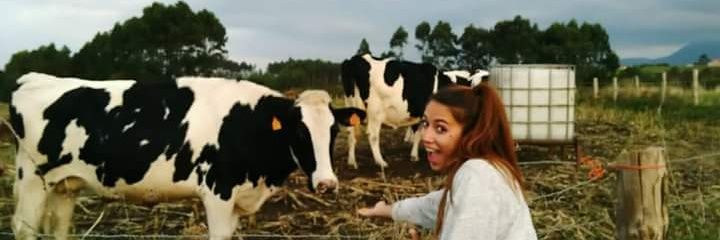 NoeliaGdeMM's profile banner image