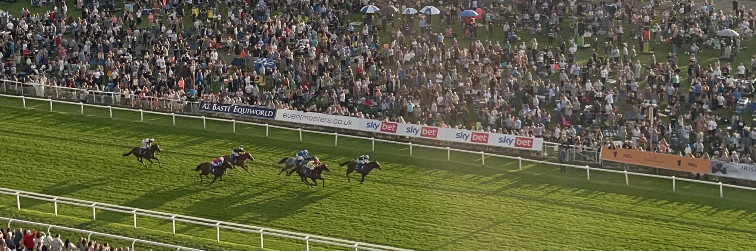 Bella Preston banner