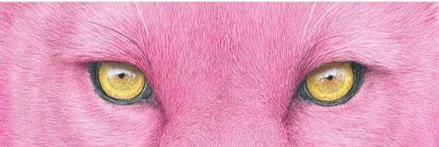 PaulaMeps's profile banner image