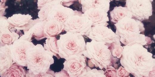 DailyThoughts_x's profile banner image