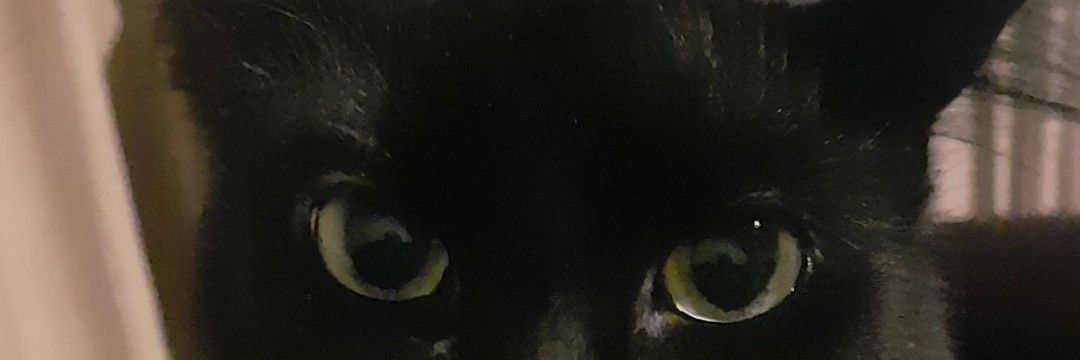 amydxvis's profile banner image