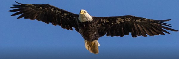 RudyDeSort Profile Banner