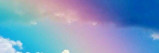 whofucksdl's profile banner image