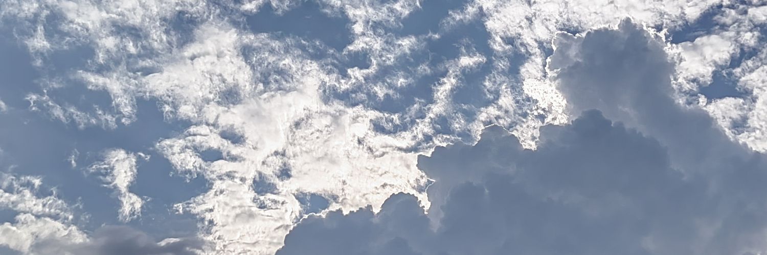 devil_shun's profile banner image