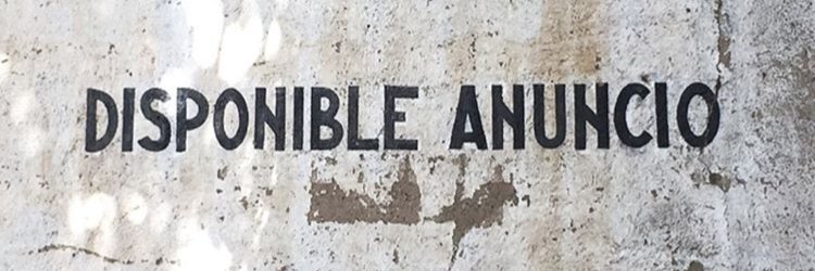 Claudia Frontino banner