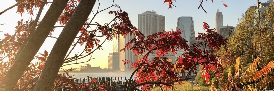 us_sherr's profile banner image