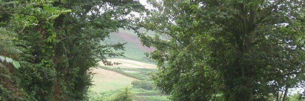 CARTIER41858206 Profile Banner