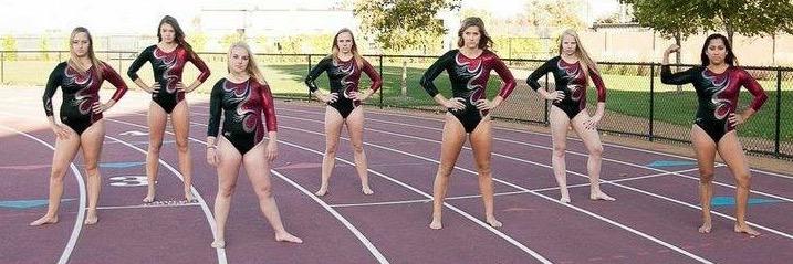 Jacklyn Clement banner