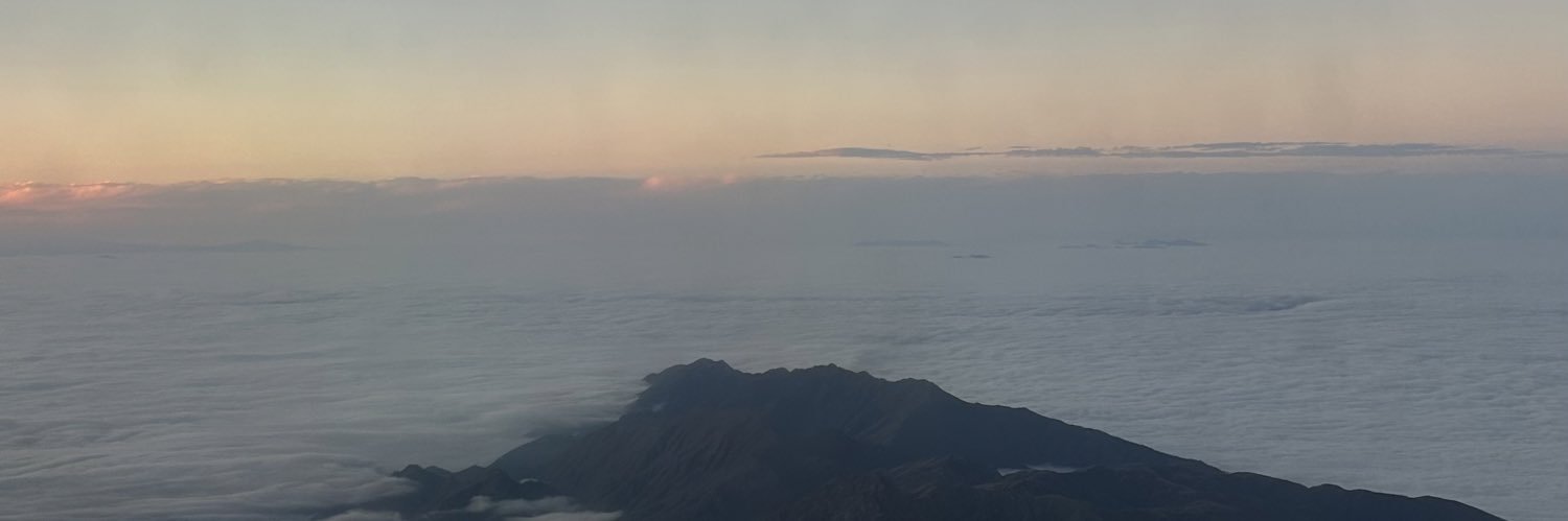 catarebolo's profile banner image