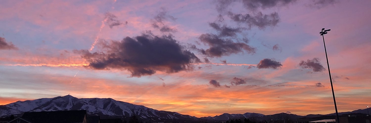 cactusbitchh's profile banner image