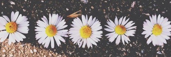 JulieStadler's profile banner image