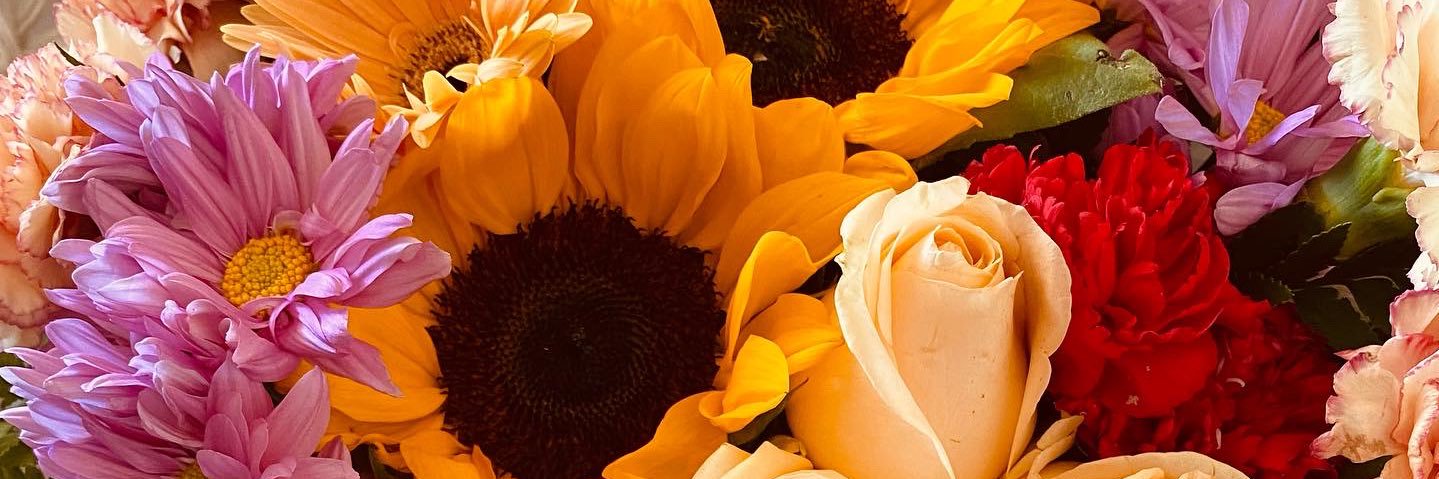 lauragoedel's profile banner image