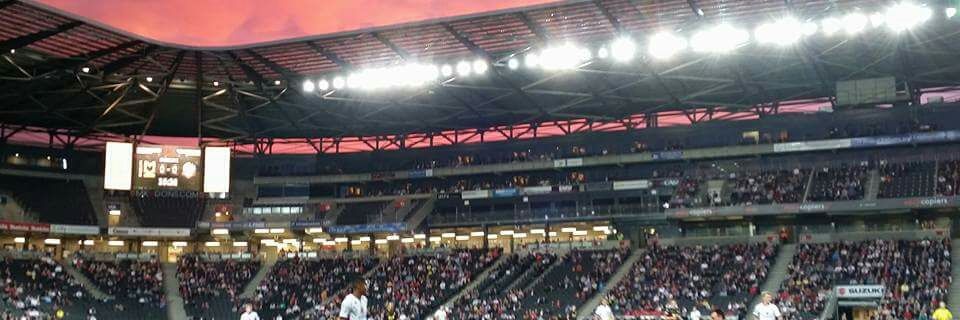 Nicole Butterwick banner