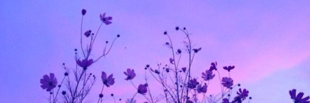 4deadleaves's profile banner image