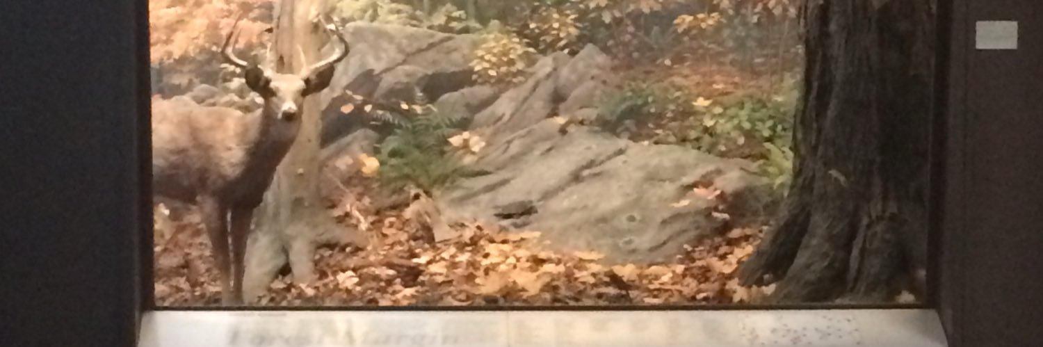 Keith Schumann banner