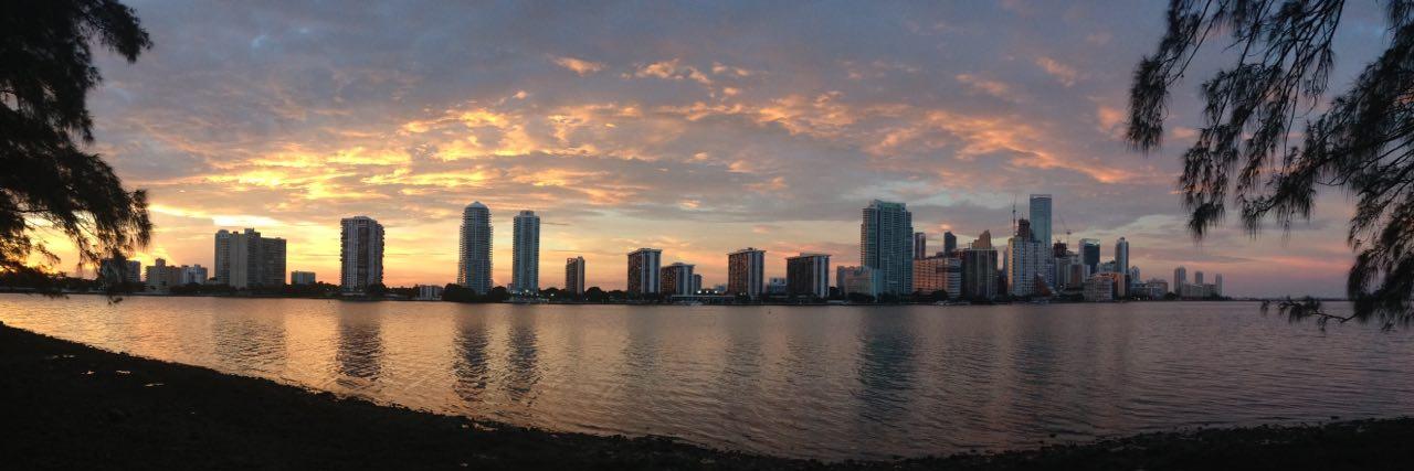 Alberto Flores banner