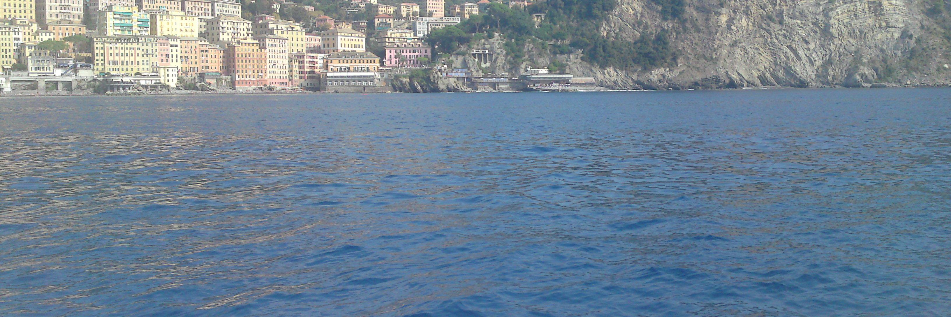 MATTEUFINIDORI's profile banner image