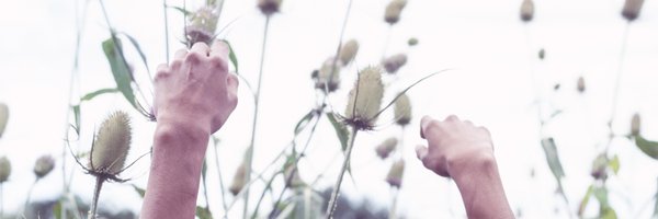 Chloeandcamera Profile Banner