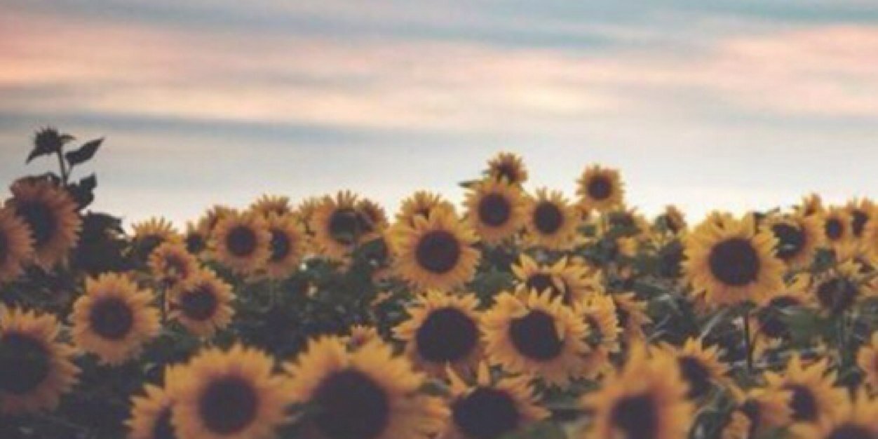 lemichellle's profile banner image
