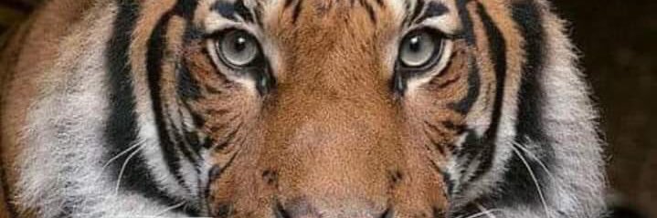 davidandlisap's profile banner image