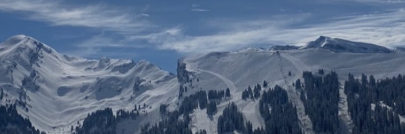 rees300's profile banner image