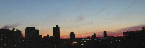 constanzabrjs's profile banner image