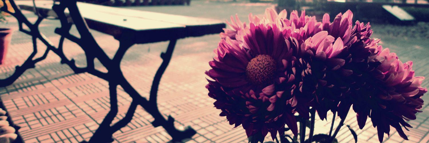 IAmMichelle40's profile banner image