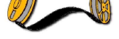 MaeHolbrook's profile banner image