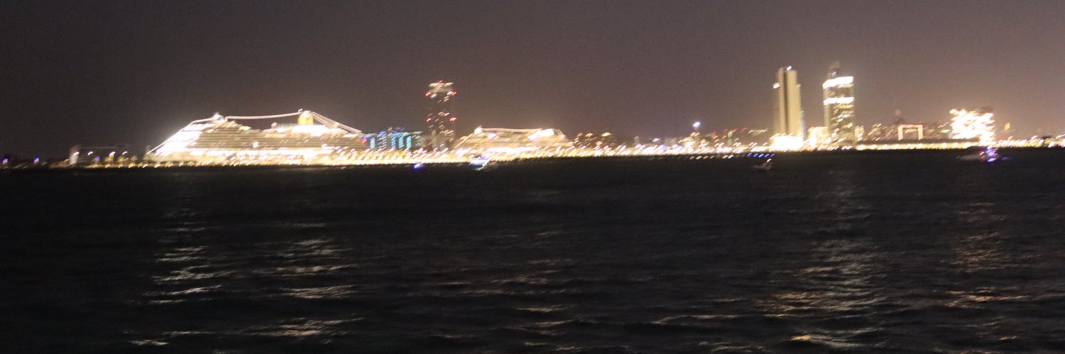 SamiAlyS's profile banner image