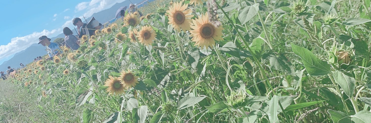 dekamooo's profile banner image