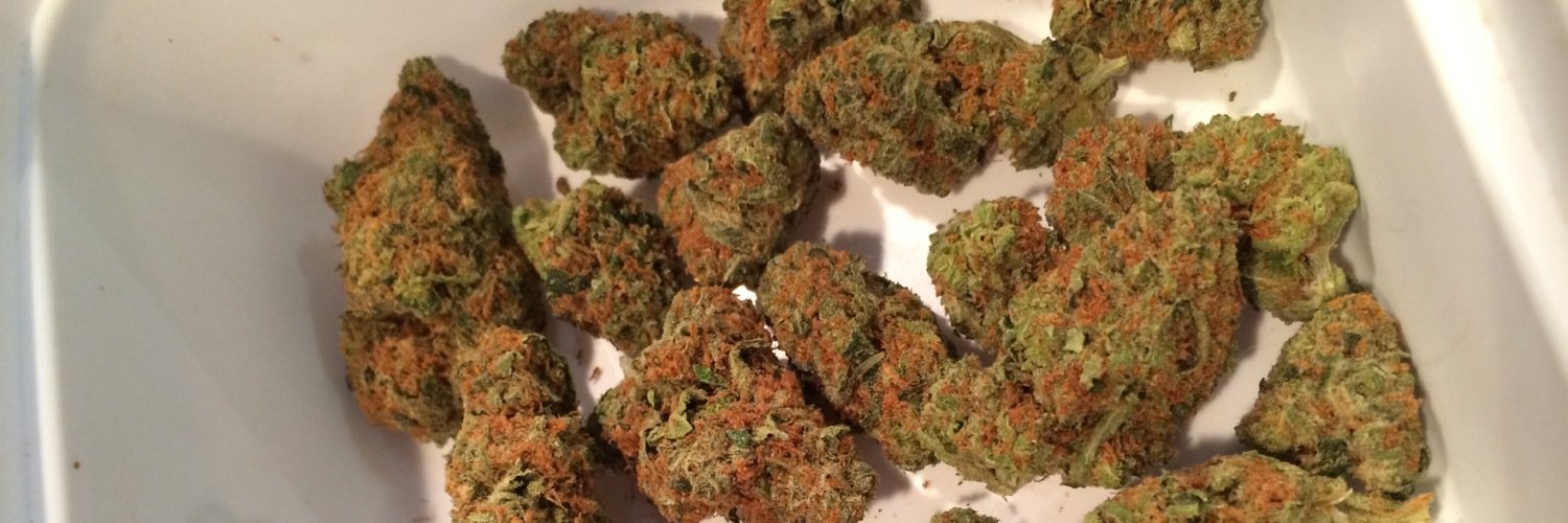weedstagram420's profile banner image